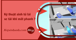 faq-ky-thuat-sinh-tu-khi-lai-xe-tai-mat-phanh